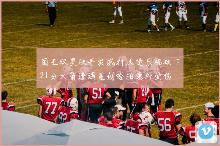 国王双星联手发威科沃德乐福砍下21分火箭遭遇重创哈珀意外受伤